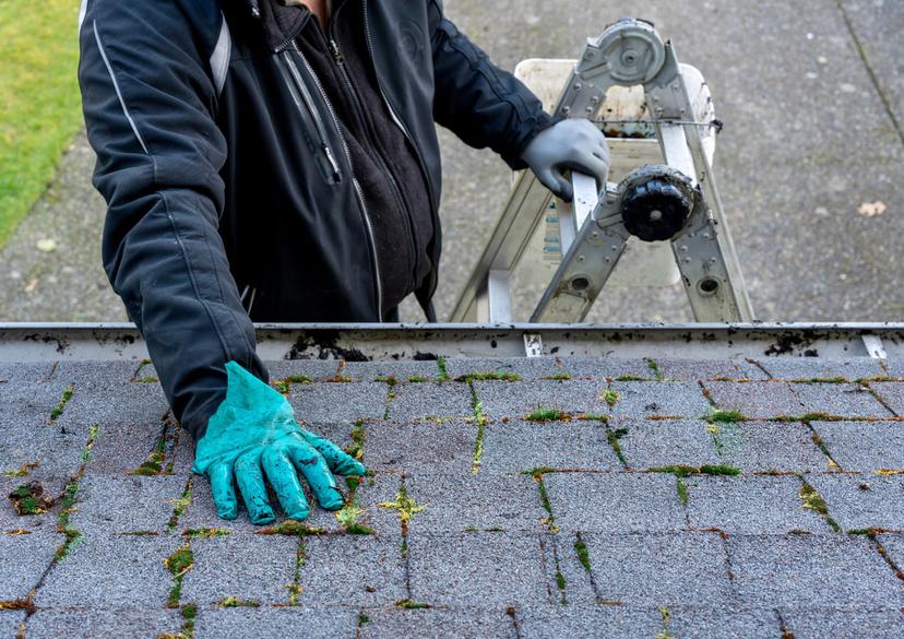 Roof Maintenance and Inspection